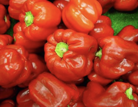 Fresh Raw Rodo (Pepper)