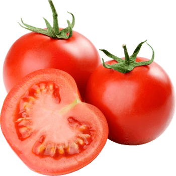 Fresh Tomatoes