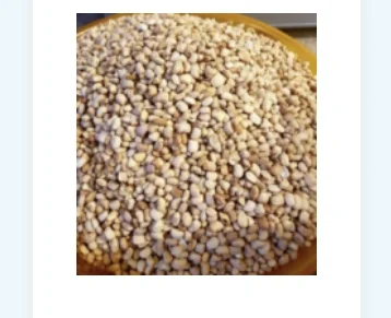 Beans (Oloyin)